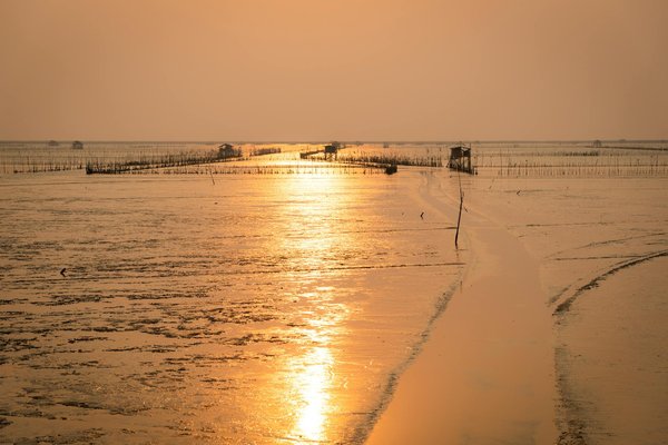 Comment choisir une tente pour un camping en région de savane en saison des pluies?