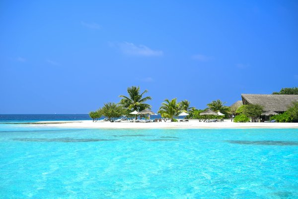 Quels sont les conseils pour une randonnée dans les montagnes de Carpathian, Ukraine?